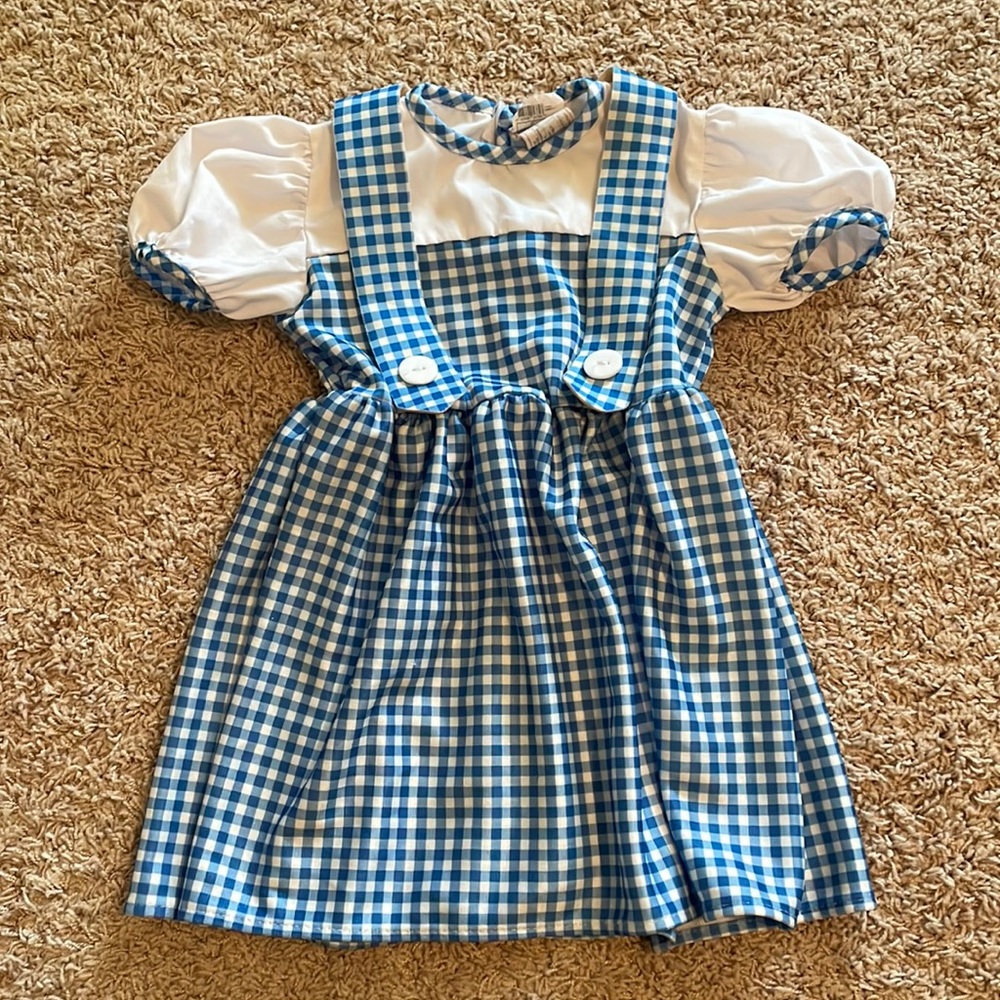 COPY - Dorothy Costume